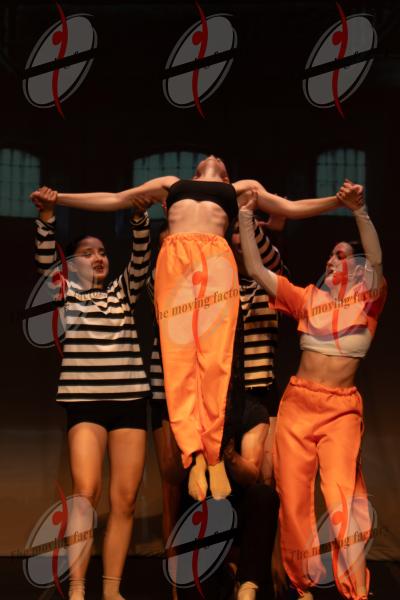 SHOW_01218.jpg